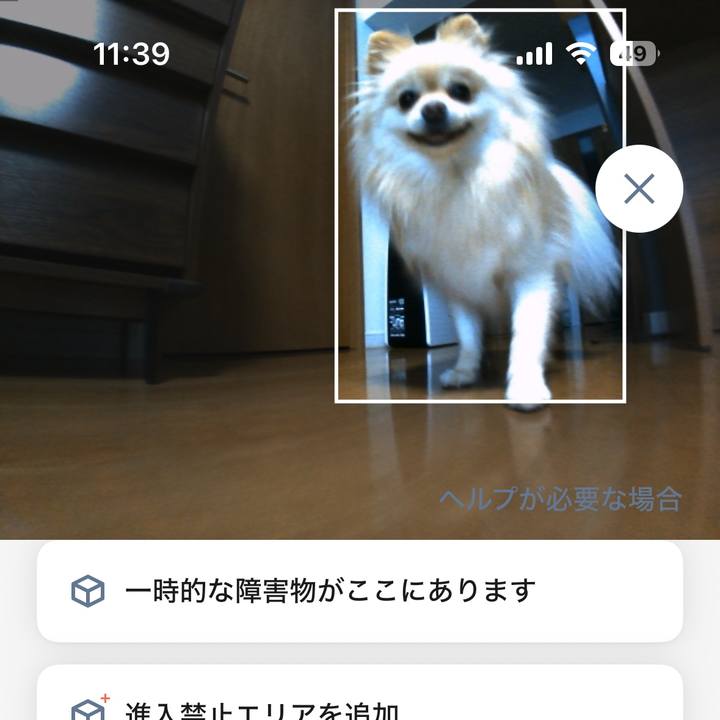 4566d9f6 a019 4ccb a93a d8ac6fc967fc 1753153851428