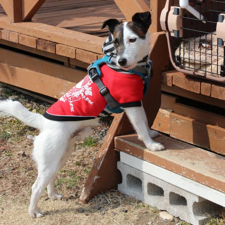 456731eb a3aa 40a8 b9b5 467fb3fb8eef 1519541923801