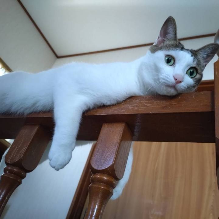 4567413d 5af1 4734 bedc b7d4fa12941f 1723338604783