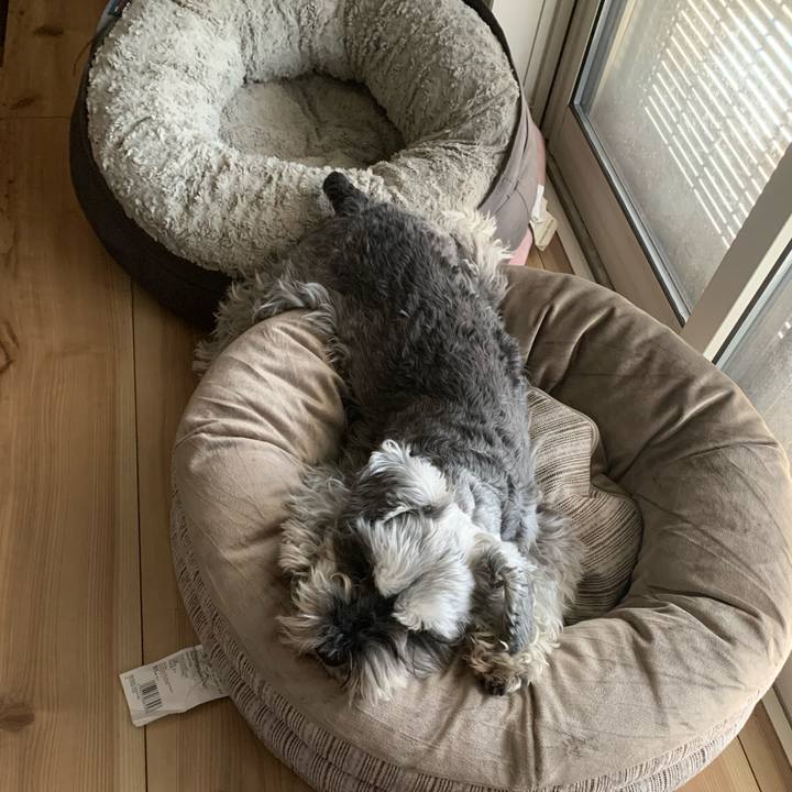 45674ab3 c8dd 451b 83a3 dbe634b7a457 1680352309919