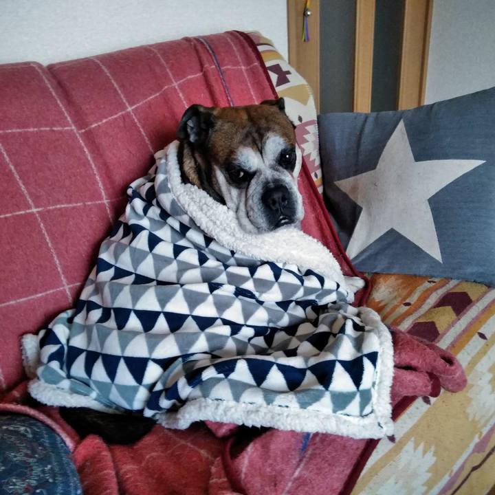 45675b65 a725 47f9 a565 676d6cf0d667 1550493348828