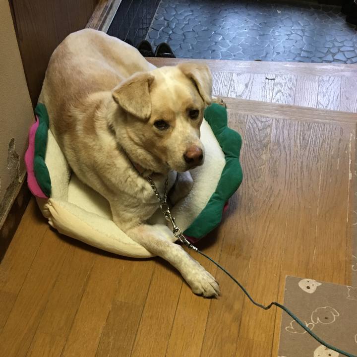 456790c1 be8b 4617 b97e 2ef649038cd0 1517454876436