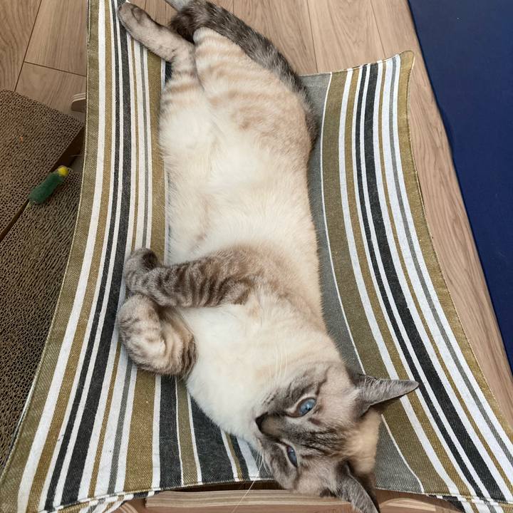 4567cc83 a887 4a1a bf82 c162658a072b 1597822046069