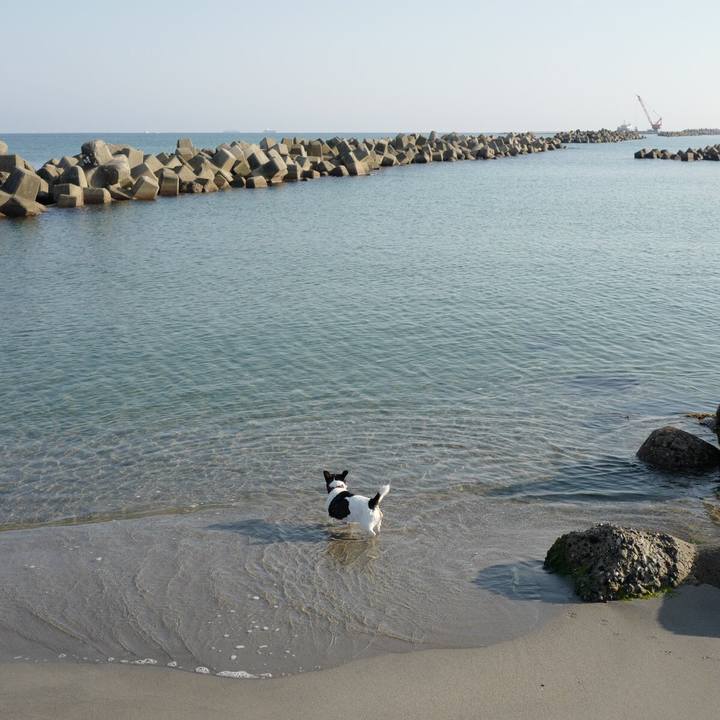 4567e315 3ac0 42b6 8e5e 1e0b849d43cc 1569905876890