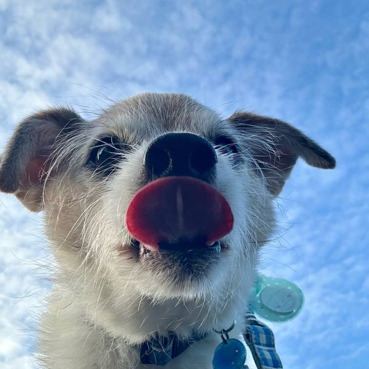 4567ea9b 5c28 4235 b1a7 c6f2a677c249 1759886433461