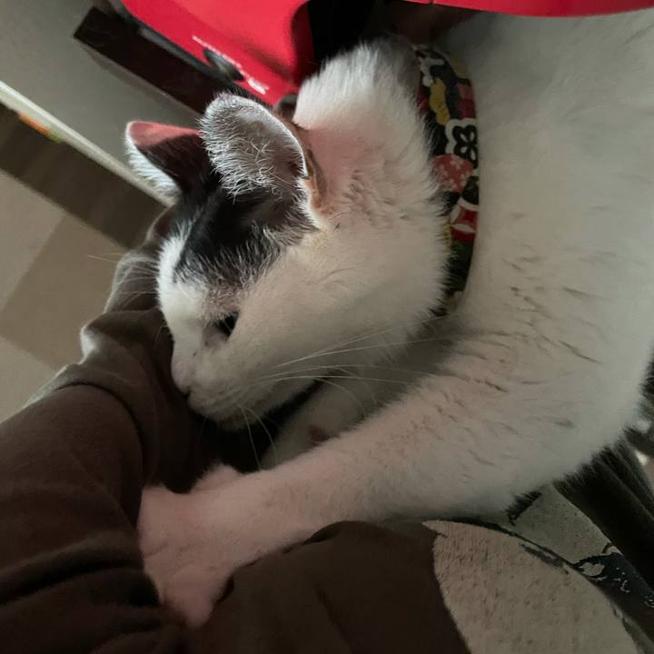 456837a5 e01d 475e 99a0 7c5a9e3175d7 1634168286400