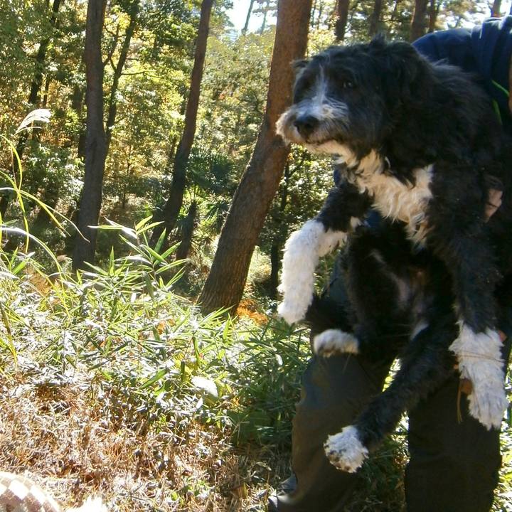 45684130 79e4 4fc7 a230 24fc4d9592a0 1668583378830