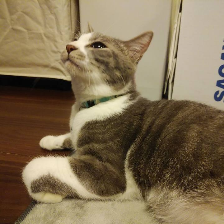 456863d4 f3d1 419c 9939 dd4559432675 1589375596173