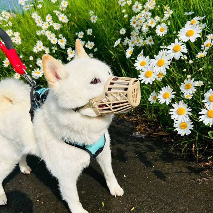 45686f3b d4e0 46e7 b7e5 39b4bfcff006 1685832810665