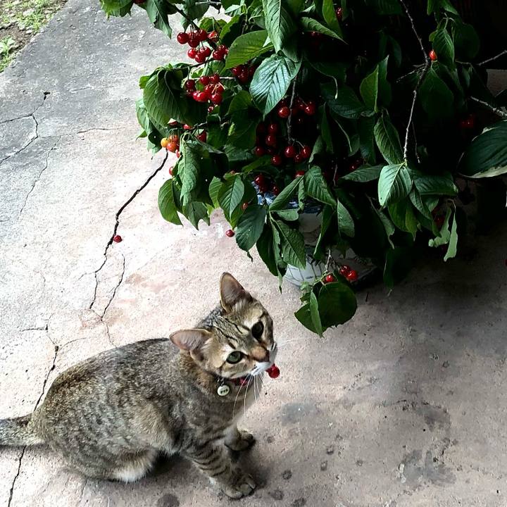 45688533 9653 4104 9450 8028e512c9d1 1619961526073