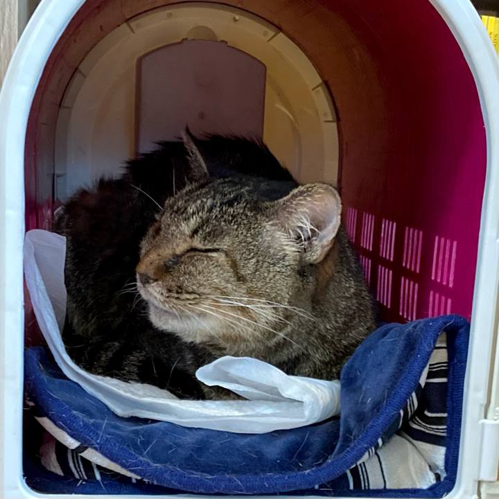 456911ed 5861 4e73 9bc7 6175576dd03a 1686295350271