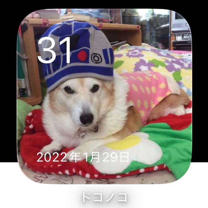 456926b7 04ac 46fa ae06 b495052c98a0 1769822632023