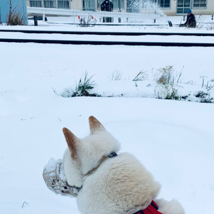 4569735f 18b0 42e8 8abd d0a9c3654bfa 1605068927571