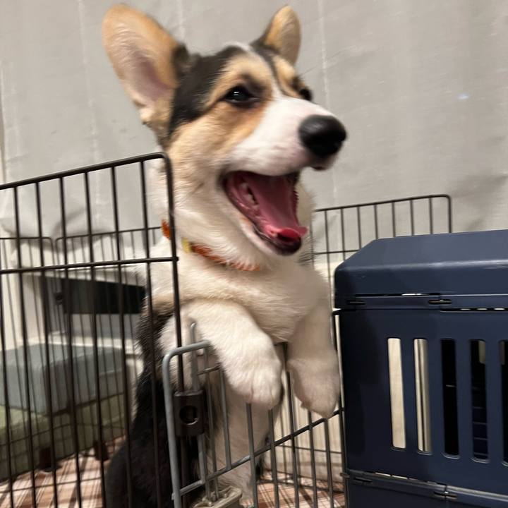 4569df4b 8c5c 4180 87bf ff33fed88fcd 1773670730277