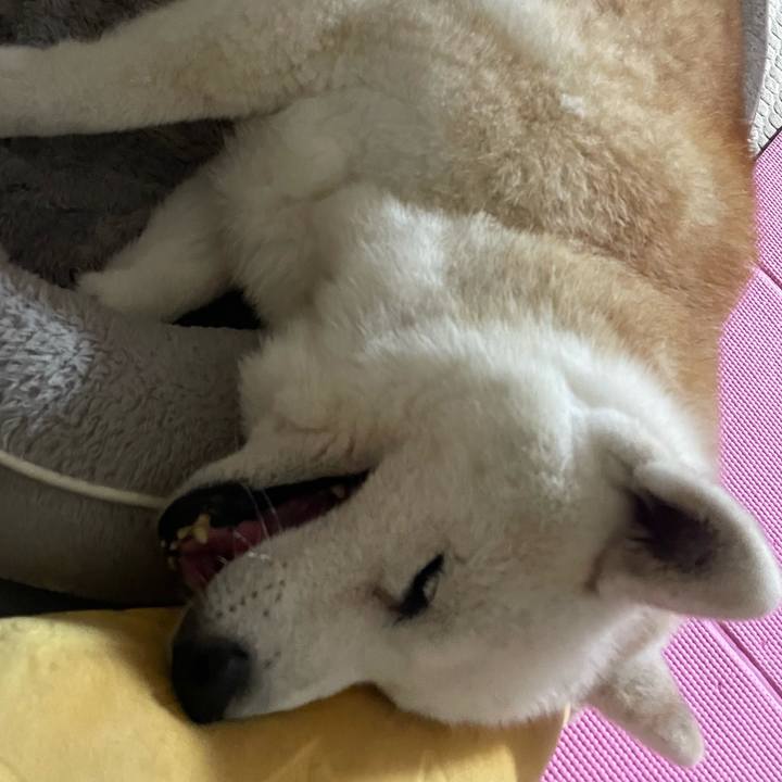 4569e550 9f76 4e45 87c5 20839a0ee9c7 1760912304119