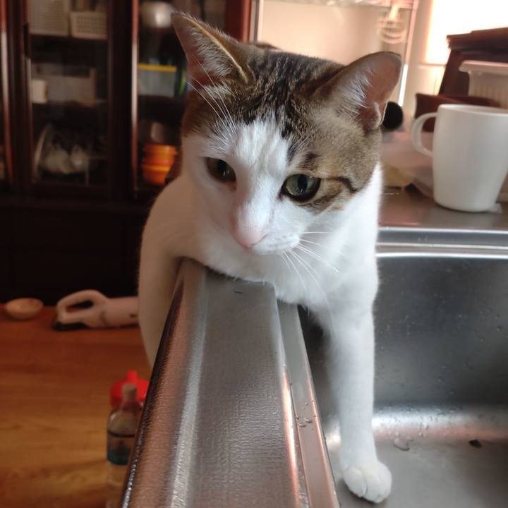 456a060a 450b 44d3 b1dc 60be4144f8bb 1690069339187