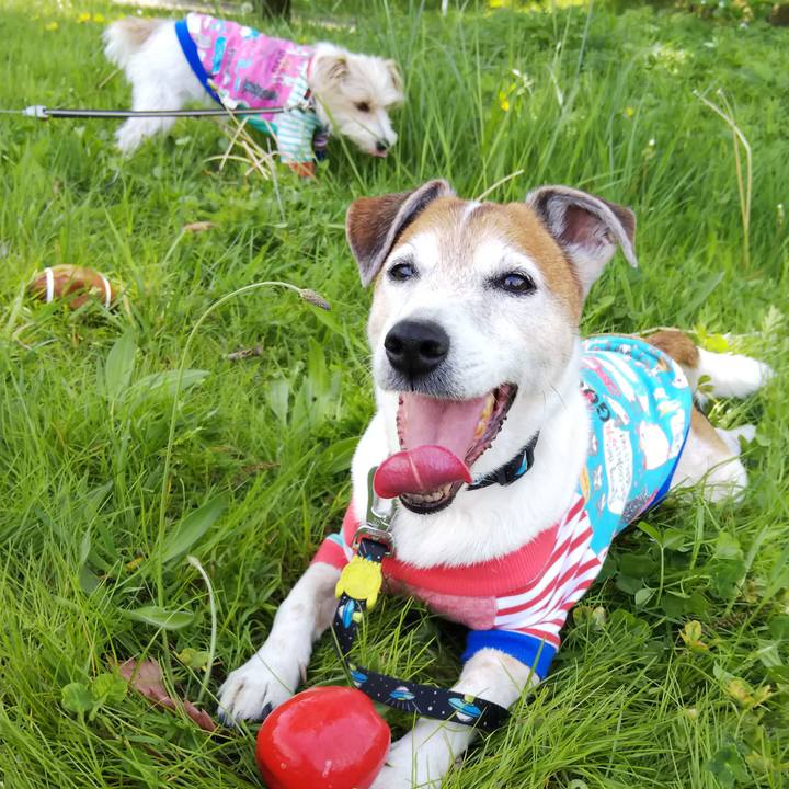 456a274c 547f 4ba9 a970 76544a4d1fdf 1524383538308