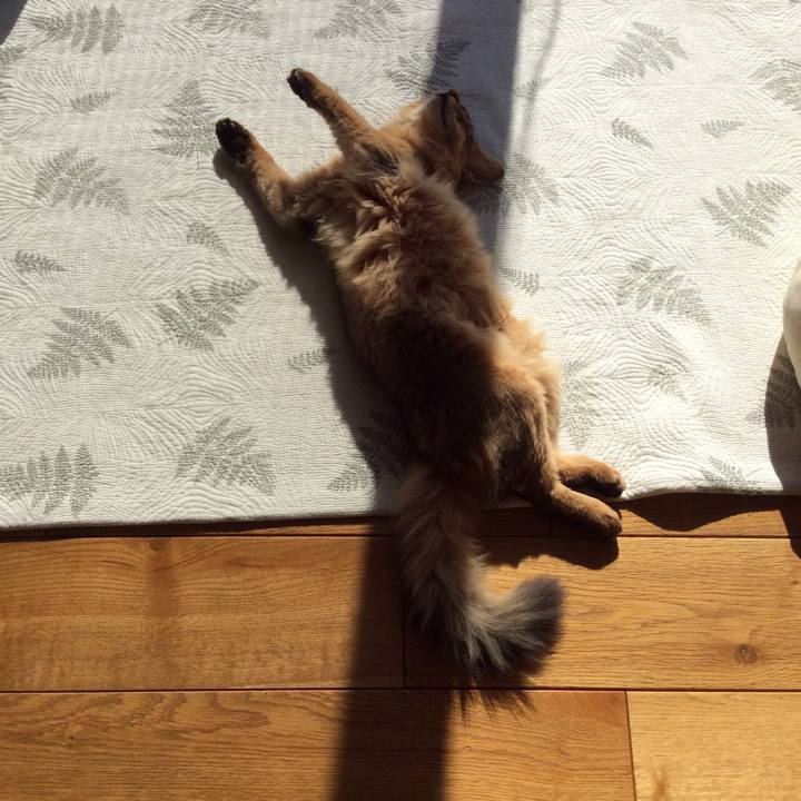 456a462a 4dc2 456b a24d c569912ae4c1 1575428923731