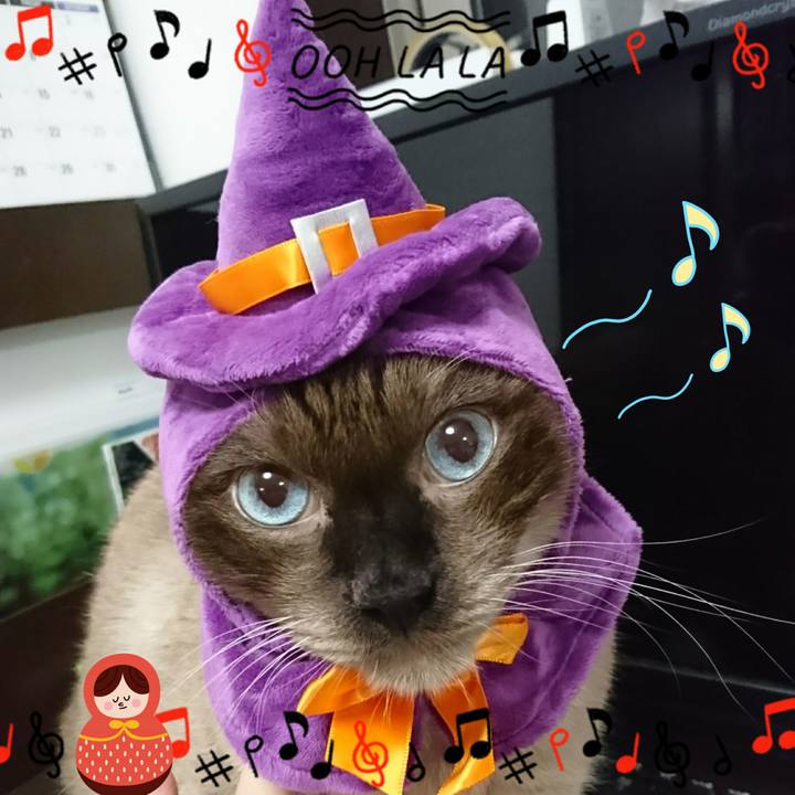 456a53ef 06ae 4d55 b33f ac6c3581be8d 1518609028470