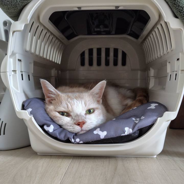 456a6c50 f69e 41c6 b1aa 68865f933142 1754266854756