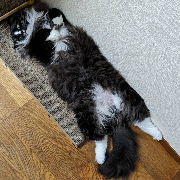 456a9525 9fef 4b98 9980 f440004ce1d7 1693019618594