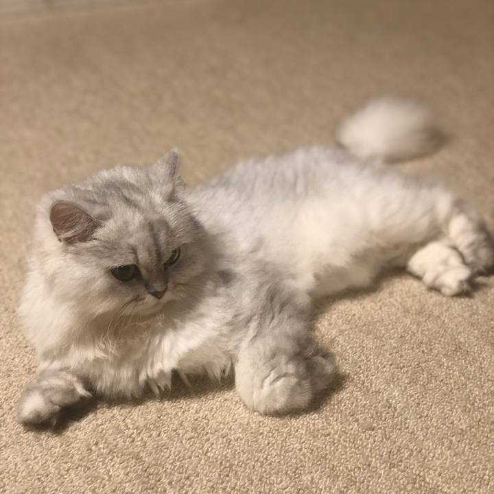 456acbab 2cce 4c0b a6ab cd9733187b8e 1564412283053