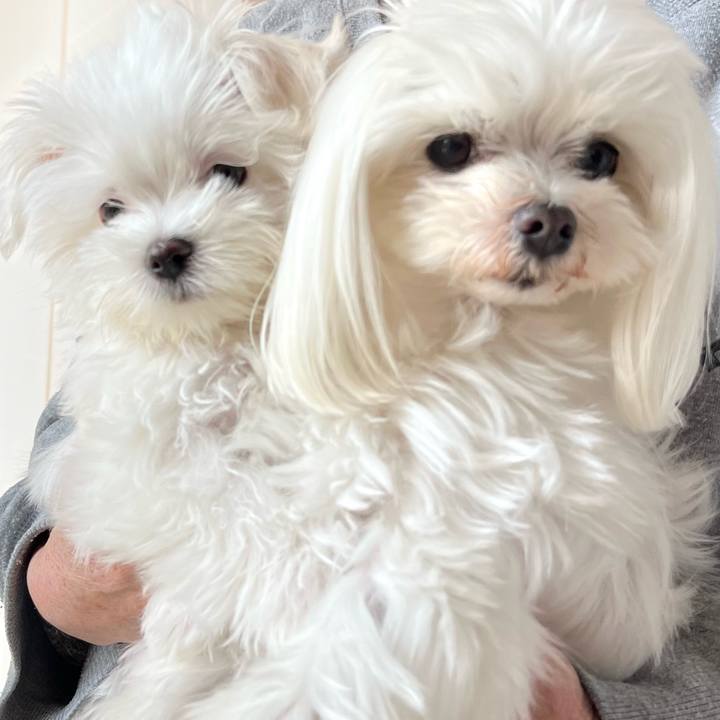 456acdee b724 4a58 b938 3528bdd29701 1708123956081