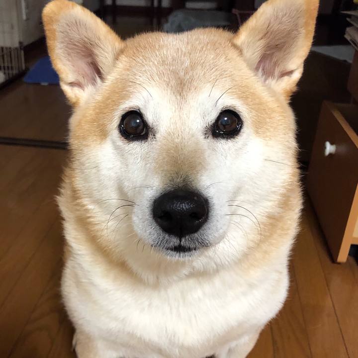 456aee1d c2c7 4a17 9304 fdba289d1258 1576148316802