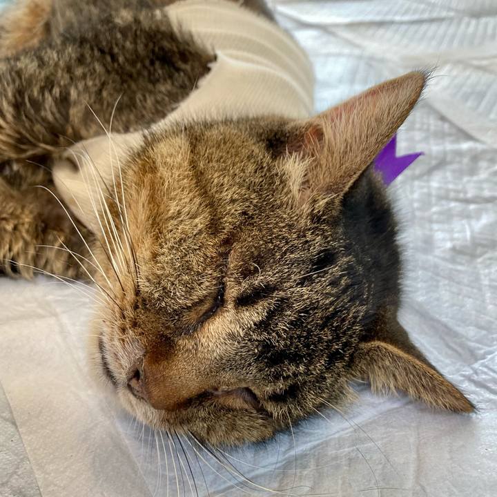 456afc32 803f 47b5 93c2 387e3a5e8a75 1688883436544