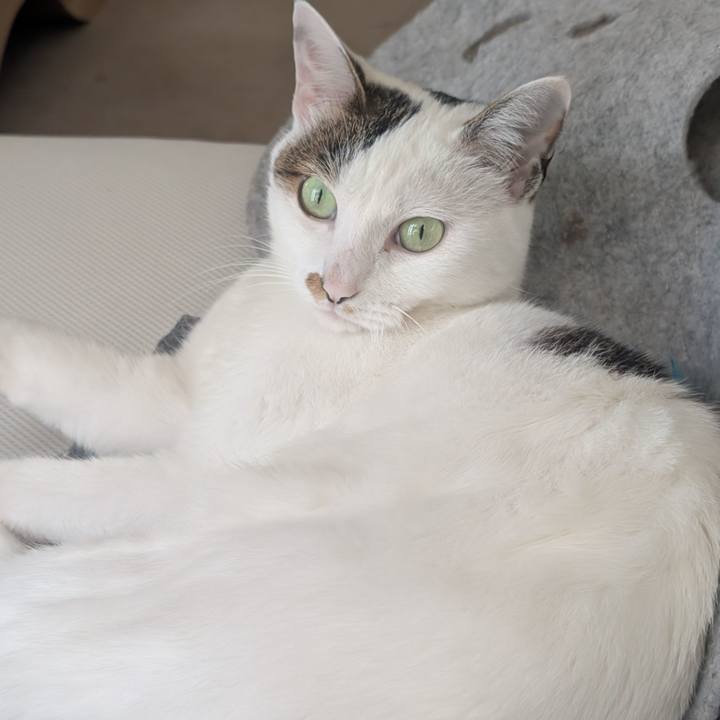 456b1498 8f4f 4e58 a73f 345d0f421f7e 1755671419765