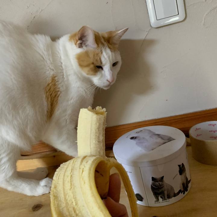 456b279a f634 4e13 bd05 6eb05102dc6e 1652911203906