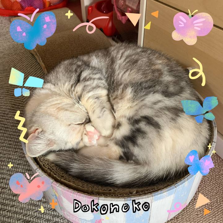 456b43ee 9da6 46a4 9f8c bc6b02181eb5 1711584311467