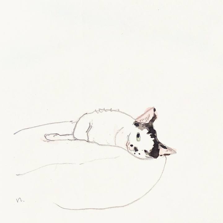 456b68cc 7f92 48d5 9f8e c8ce9f05cb90 1622201684148