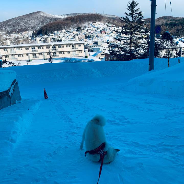 456b8111 dcaf 421a 9fed 809be91a5e62 1610241347298