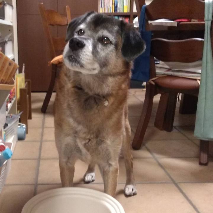 456b950e 55c4 423a af6b 7e37672cb174 1547118026936