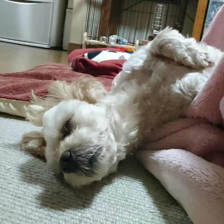 456ba858 af74 48b9 837b da9ca1453853 1578408178635