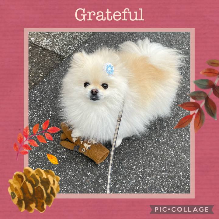 456bc0ae f6d7 4fa1 9d7d 88fac36040c9 1700078886927