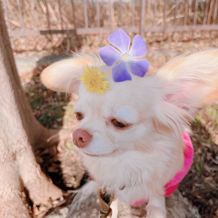 456bccbe 18e8 4d87 bc5f b66c75313260 1673943004641