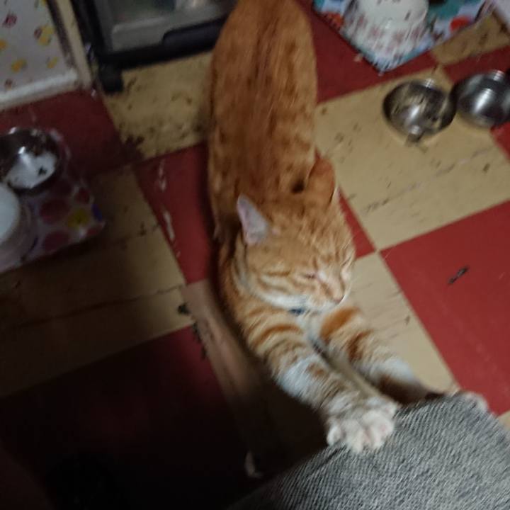 456bd02b f03d 4ded 8e51 46d80fe23915 1563479735397