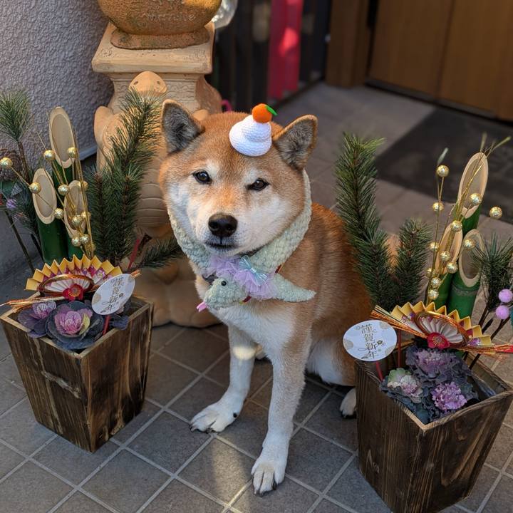 456c0063 bb9d 4c66 b281 fae30f680718 1735953385589