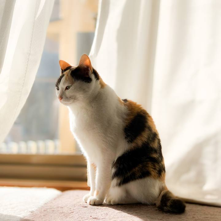 456c284b 361b 4d12 be56 4059f55a4b3b 1591492581691