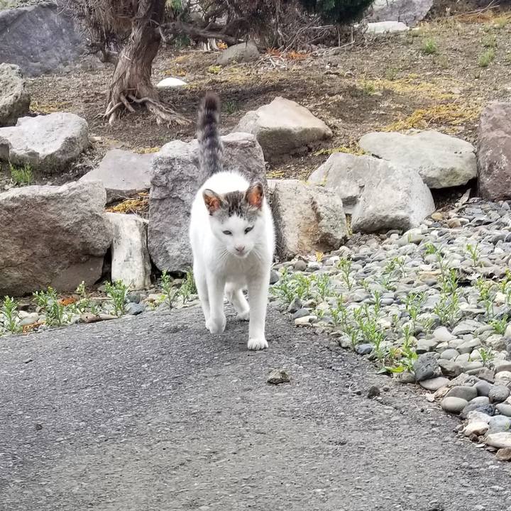 456c88c2 cd48 4087 a7e0 fe1ba42dd9e3 1685949512473