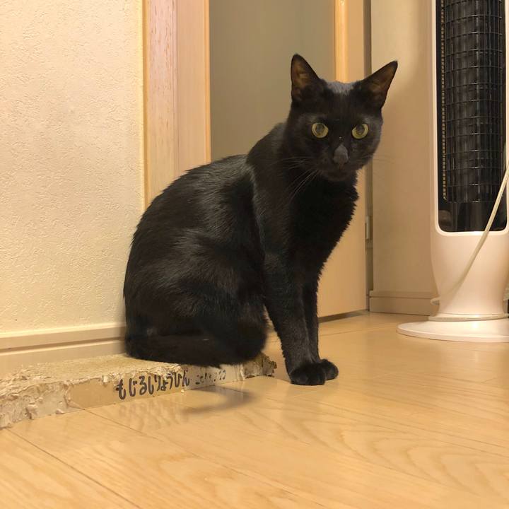 456c88f4 0271 4c9b 8900 a5a676bb6b1b 1568821546209