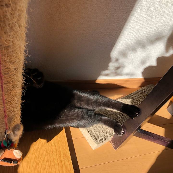 456c9a0d 09c8 4d83 b997 cc533a440b9c 1545630970052