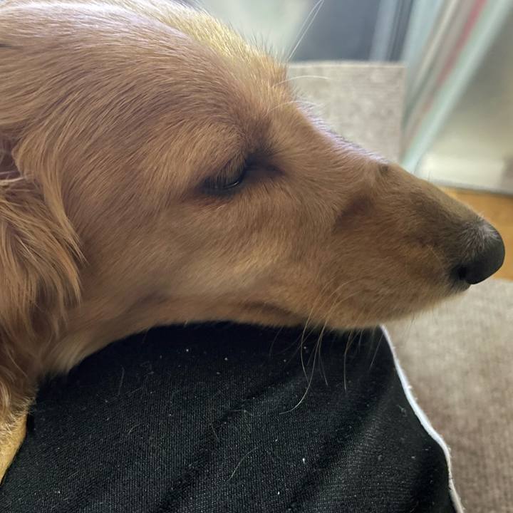 456ca675 4536 41c5 88eb 213e4f703f3d 1685970509831