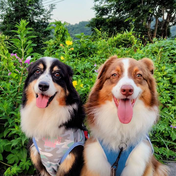 456cc7dc 64de 4d29 a8f3 2a3d6009e99a 1755688638971