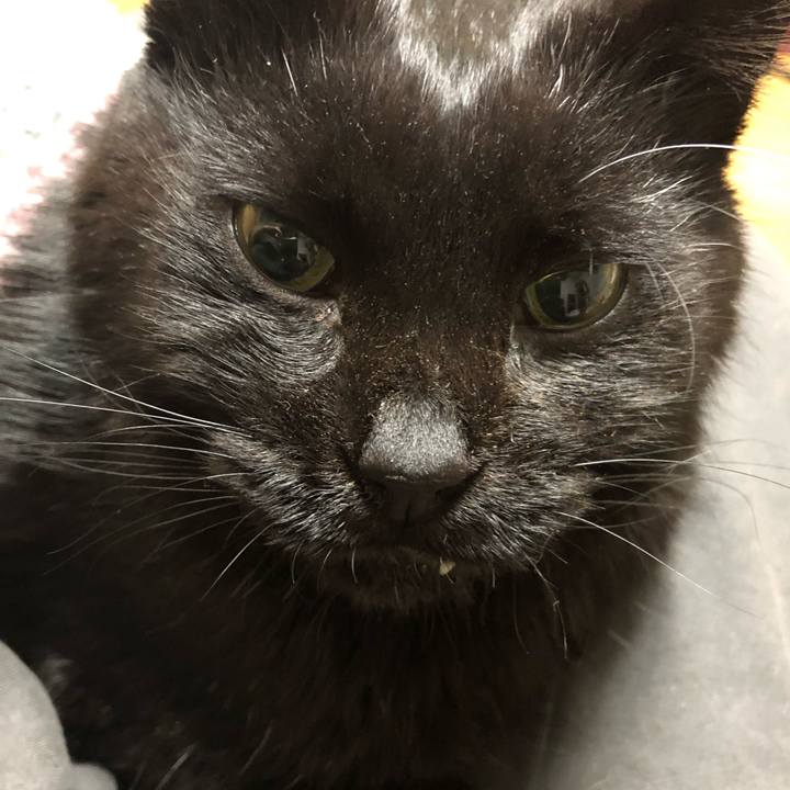 456d03b0 c907 4384 8c8a 71c68315a359 1643121636281