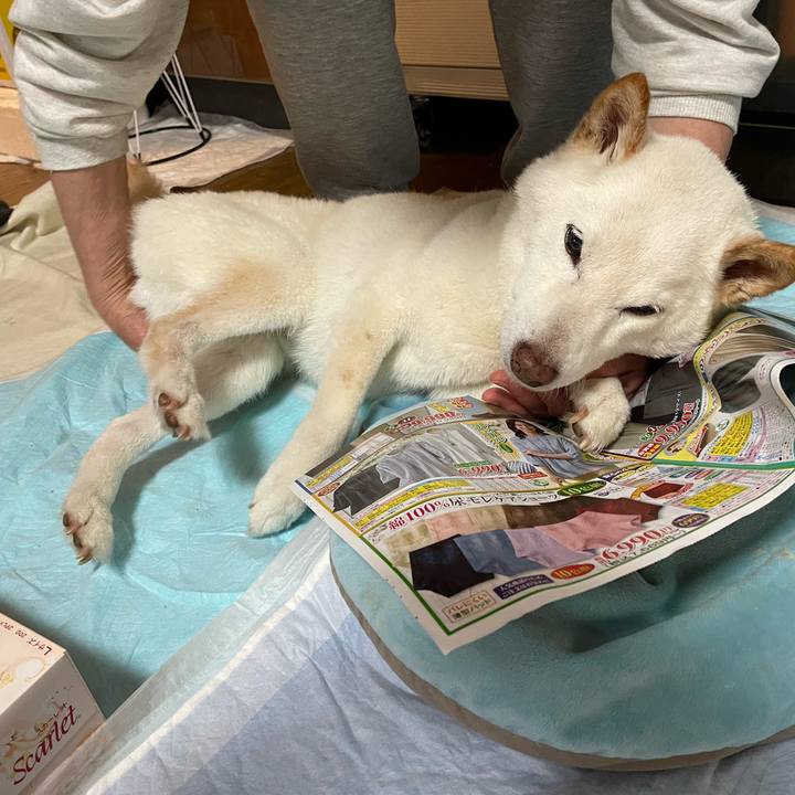 456d1045 16e6 4a5d 85fb 139409ae4cb7 1650947948379