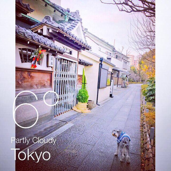 456d2f71 bb87 4a68 addf 542dc07776ad 1514714281486