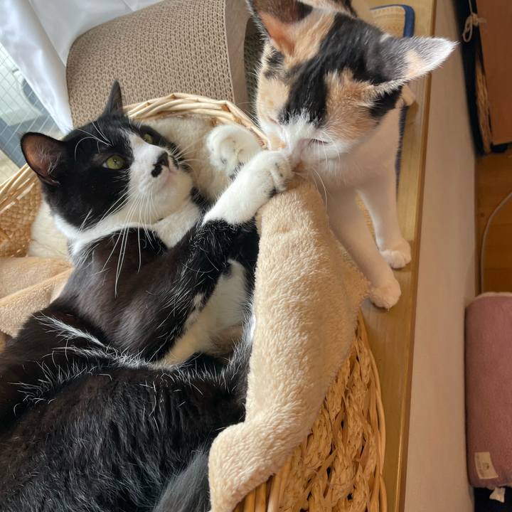 456d4dc4 432c 4e0e 8b6a 646eb28d204e 1665534379249